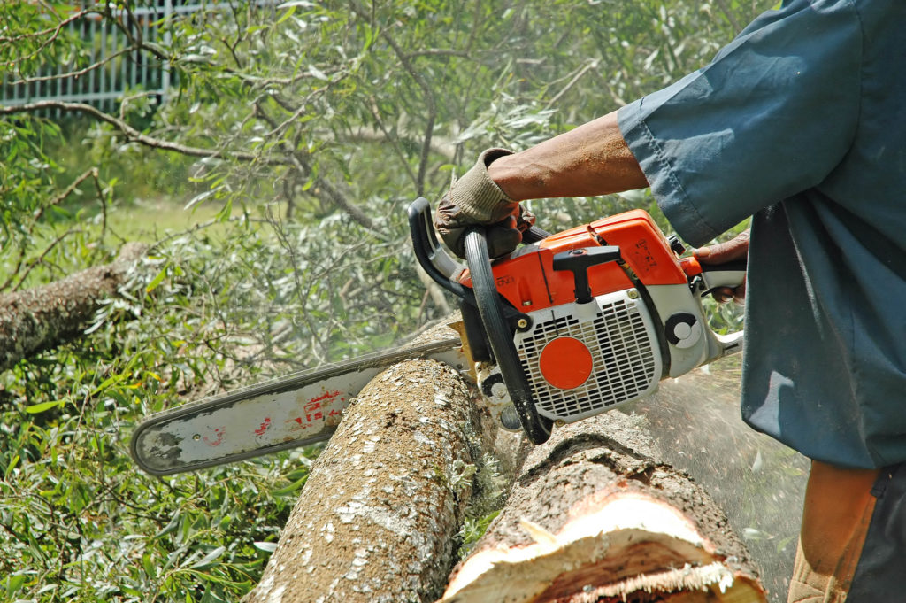 Chain saw in action