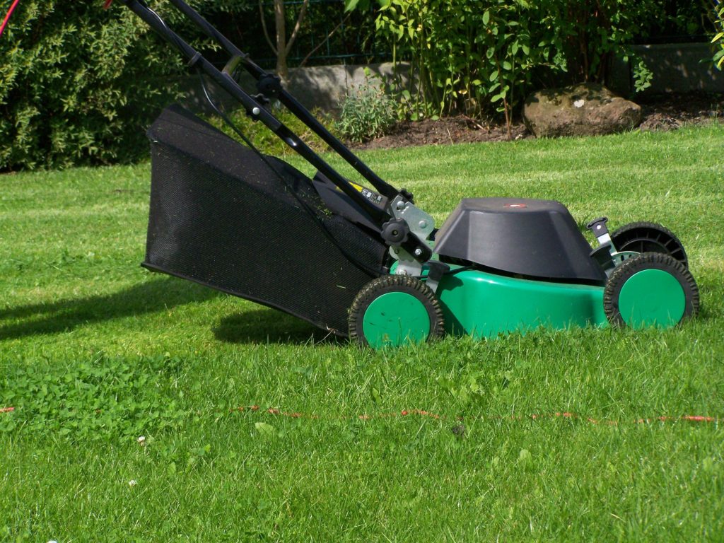 how-much-does-lawn-cost-lovemylawn